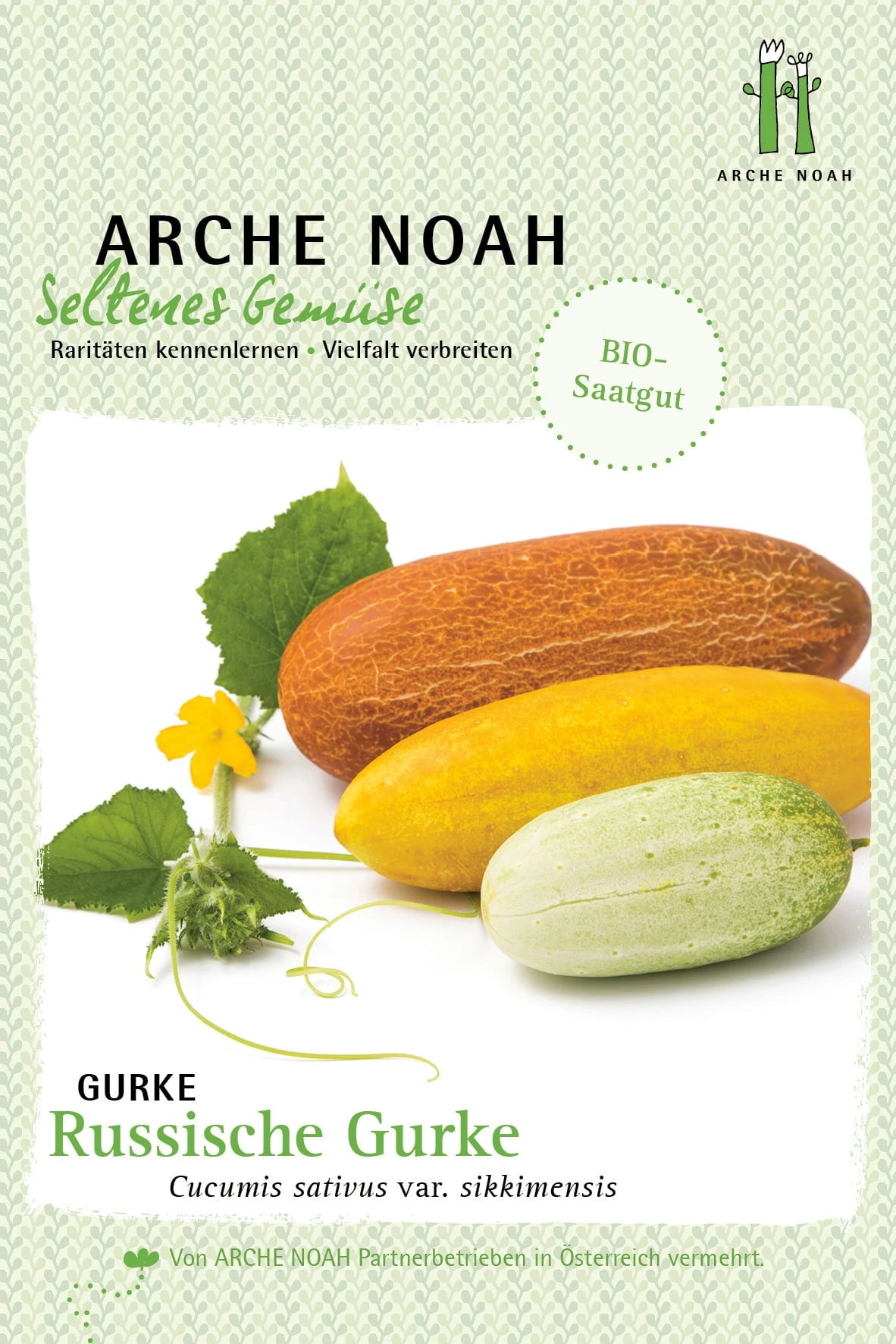 Cetriolo "Russkaja" Bio 3 Cetriolo "Russkaja" Bio