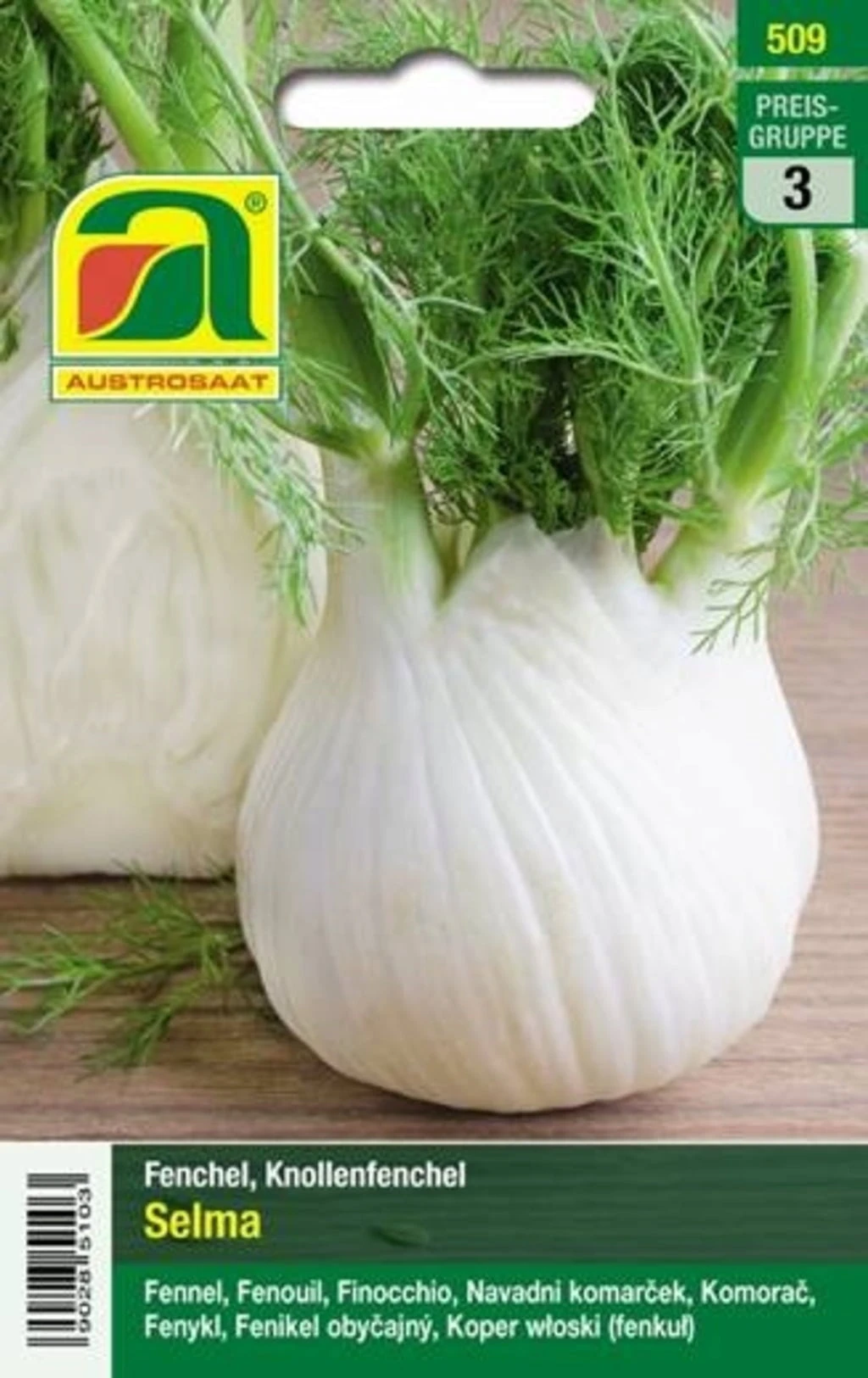 Finocchio "Selma" 4 Finocchio "Selma" - immagine 2