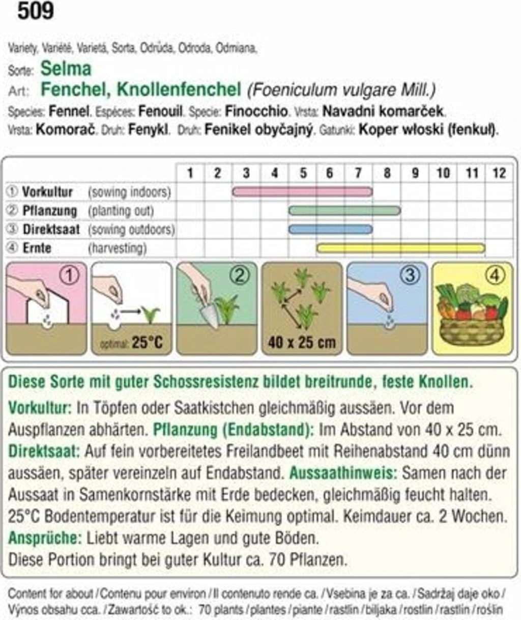 Finocchio "Selma" 3 Finocchio "Selma"