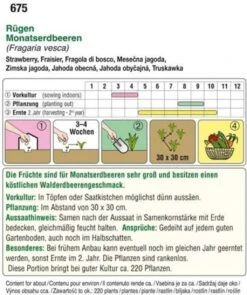 Fragola Di Bosco - Rüge