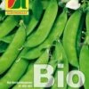 Pisello Dolce "Norli" Bio 1 Pisello Dolce "Norli" Bio -Giardino Perfetto austrosaat pisello dolce norli bio 1 paket 1655796 it