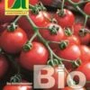 Pomodorino Bio - Zuckertraube 1 Pomodorino Bio - Zuckertraube -Giardino Perfetto austrosaat pomodorino bio zuckertraube 1 paket 1654520 it