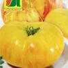 Pomodoro "Ananas" -Giardino Perfetto austrosaat pomodoro ananas 1 paket 1673031 it