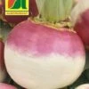 Rapa "Ronde Witte Roodkop" -Giardino Perfetto austrosaat rapa ronde witte roodkop 1 paket 1662406 it