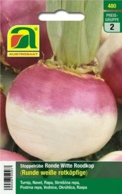 Rapa "Ronde Witte Roodkop"