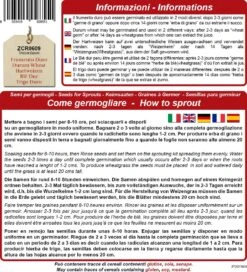 Semi Per Germogli Di Frumento Duro Bio, 80 G