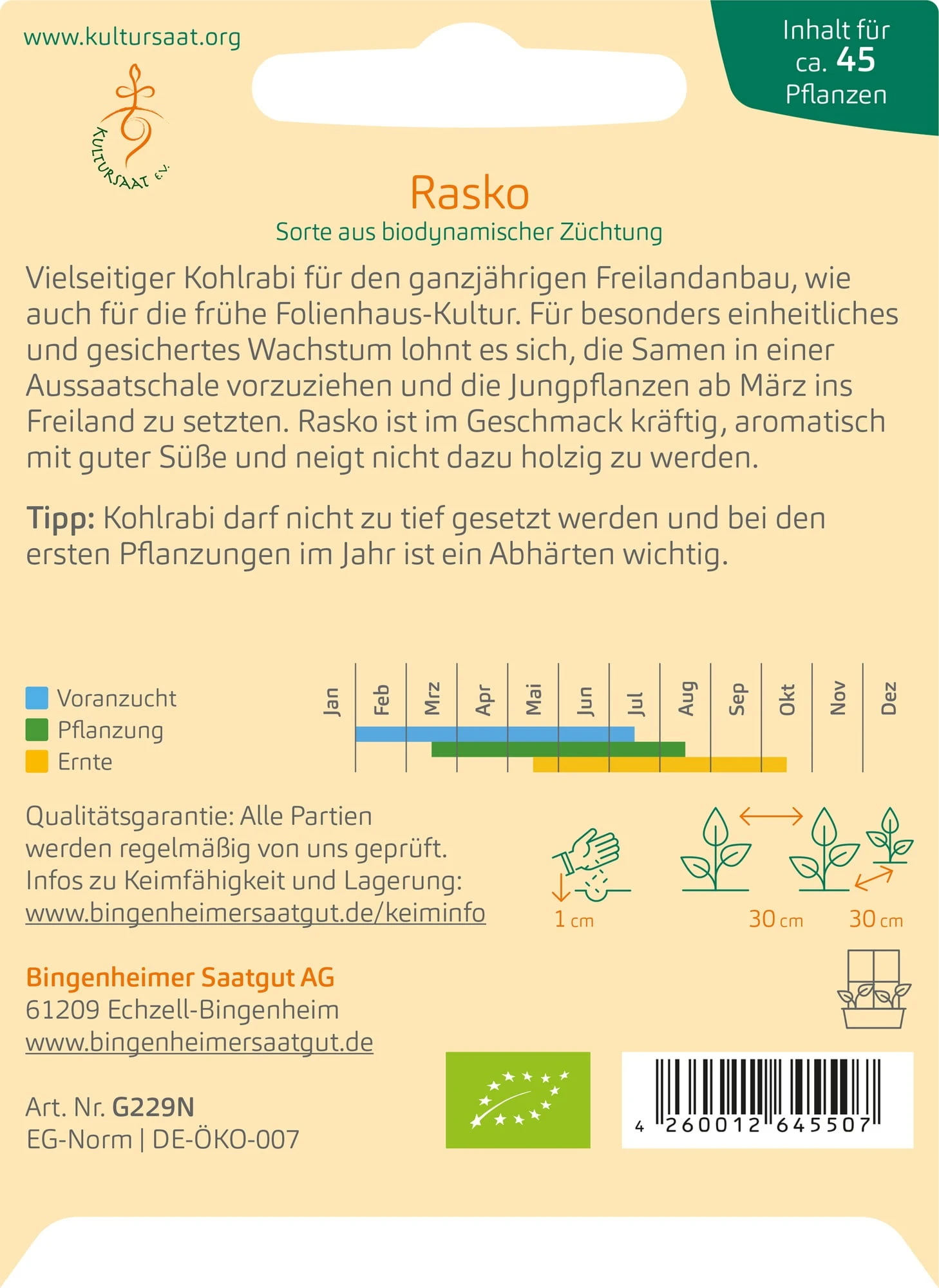 Cavolo Rapa Bianco -Rasko 4 Cavolo Rapa Bianco -Rasko - immagine 2