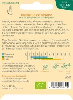 Insalata Di Batavia "Maravilla De Verano"