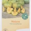 Melone "Petit Gris De Rennes" -Giardino Perfetto bingenheimer saatgut melone petit gris de rennes 1 paket 1611656 it