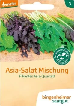 Giardino Perfetto -Giardino Perfetto bingenheimer saatgut mix di insalate asiatiche spicy asia quartet 1 paket 1678141 it