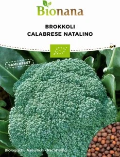Broccolo Bio - Calabrese Natalino