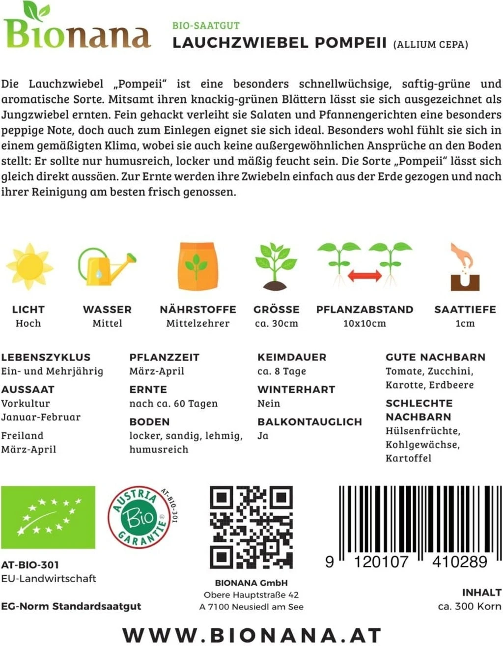 Cipolla Bio - Pompei 4 Cipolla Bio - Pompei - immagine 2