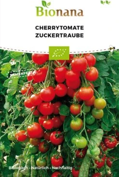 Pomodoro Ciliegino Bio - Zuckertraube