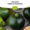 Zucchino Bio - Tondo Di Piacenza 1 Zucchino Bio - Tondo Di Piacenza -Giardino Perfetto bionana zucchino bio tondo di piacenza 1 conf 928466 it