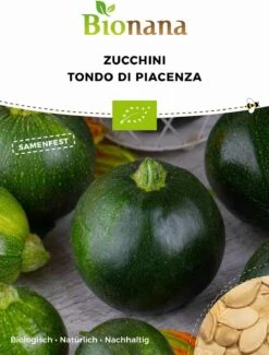 Zucchino Bio - Tondo Di Piacenza