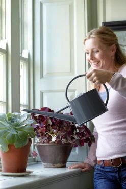 Annaffiatoio Da Interni - Sophie Conran