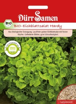 Lattuga Verde BIO - Hardy