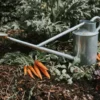 Annaffiatoio Da 9 L - Warley Fall, Zinco 1 Annaffiatoio Da 9 L - Warley Fall, Zinco -Giardino Perfetto haws annaffiatoio da 9 l warley fall cink 1683081 it