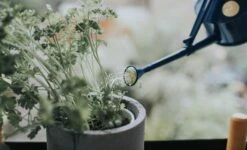 Annaffiatoio Da Interno - The Langley Sprinkler, 0,7 L, Blu