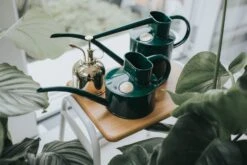 Annaffiatoio In Metallo Da Interno - The Fazeley Flow, 1 L, Verde 10 Annaffiatoio In Metallo Da Interno - The Fazeley Flow, 1 L, Verde -Giardino Perfetto haws annaffiatoio in metallo da interno the fazeley flow 1 l groen 1660656 it