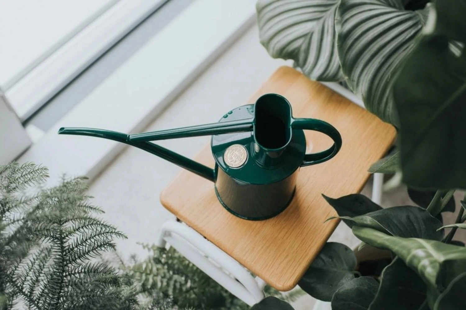 Annaffiatoio In Metallo Da Interno - The Fazeley Flow, 1 L, Verde 4 Annaffiatoio In Metallo Da Interno - The Fazeley Flow, 1 L, Verde - immagine 2