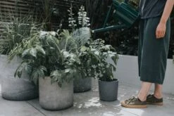 Annaffiatoio In Metallo - The Bearwood Brook, 4,5 L, Verde 14 Annaffiatoio In Metallo - The Bearwood Brook, 4,5 L, Verde -Giardino Perfetto haws annaffiatoio in metallo the bearwood brook 45 l groen 1660669 it