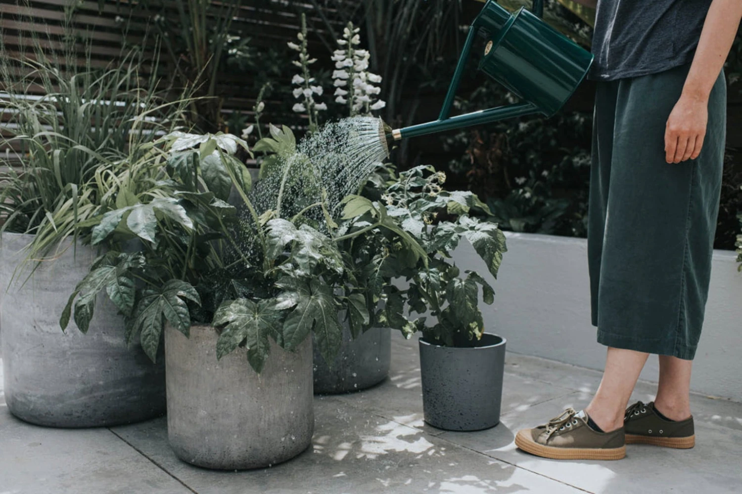 Annaffiatoio In Metallo - The Bearwood Brook, 4,5 L, Verde 7 Annaffiatoio In Metallo - The Bearwood Brook, 4,5 L, Verde - immagine 6