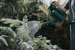 Annaffiatoio In Metallo - The Bearwood Brook, 4,5 L, Verde 13 Annaffiatoio In Metallo - The Bearwood Brook, 4,5 L, Verde -Giardino Perfetto haws annaffiatoio in metallo the bearwood brook 45 l groen 1669339 it