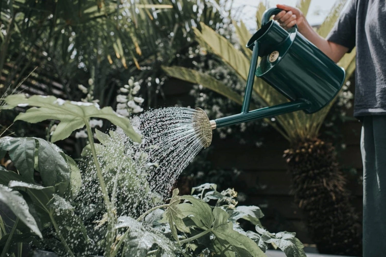 Annaffiatoio In Metallo - The Bearwood Brook, 4,5 L, Verde 6 Annaffiatoio In Metallo - The Bearwood Brook, 4,5 L, Verde - immagine 5