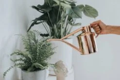 Annaffiatoio In Rame Per Interni - The Fazeley Flow, 1 Litro