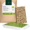 Pad Di Semi Per Microgreen - Cavolo Rosso -Giardino Perfetto heimgart tappetino per germinazione microgreen cavolo rosso 1 st 813276 it