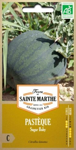 Cocomero "Sugar Baby"