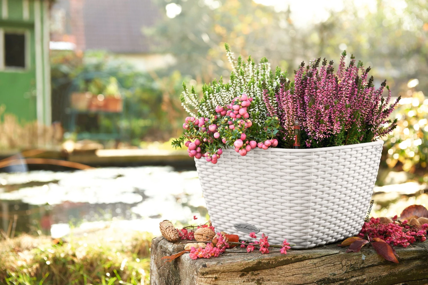 Giardino Perfetto -Giardino Perfetto lechuza vaso bacino cottage 1469064 it