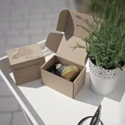 Lancia A Doccia In Ottone Per Fiori -Giardino Perfetto livlig53 lancia a doccia in ottone per fiori 1 pz 1255396 it