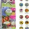 Set Di Semi Bio - Fiori Per Api -Giardino Perfetto loveplants set di semi bio fiori per api 1550336 it