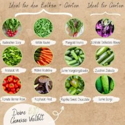 Set Di Semi Bio - Verdure -Giardino Perfetto loveplants set di semi bio verdure 1546969 it