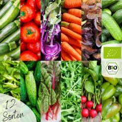 Set Di Semi Bio - Verdure -Giardino Perfetto loveplants set di semi bio verdure 1546973 it