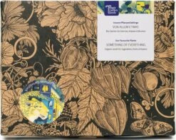 6 Varietà Di Piante Bio: Di Tutto Un Po' - Set Di Semi 14 6 Varietà Di Piante Bio: Di Tutto Un Po' - Set Di Semi -Giardino Perfetto magic garden seeds 6 varieta di piante bio di tutto un po set di semi 1 set 1553438 it