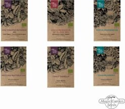 6 Varietà Di Piante Bio: Di Tutto Un Po' - Set Di Semi