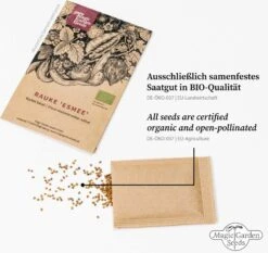 6 Varietà Di Piante Bio: Di Tutto Un Po' - Set Di Semi 13 6 Varietà Di Piante Bio: Di Tutto Un Po' - Set Di Semi -Giardino Perfetto magic garden seeds 6 varieta di piante bio di tutto un po set di semi 1437607 it