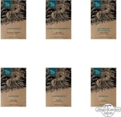 Erbe Medicinali Di Montagna - Set Di Semi -Giardino Perfetto magic garden seeds erbe medicinali di montagna set di semi 1680194 it