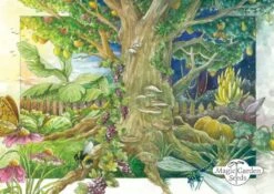 Erbe Medicinali Di Montagna - Set Di Semi