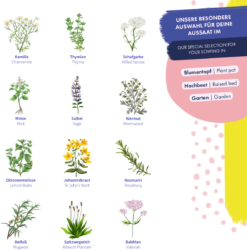 Semi Di Erbe Medicinali -Giardino Perfetto magic garden seeds semi di erbe medicinali 1494300 it