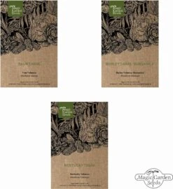 Varietà Di Tabacco - Set Di Semi