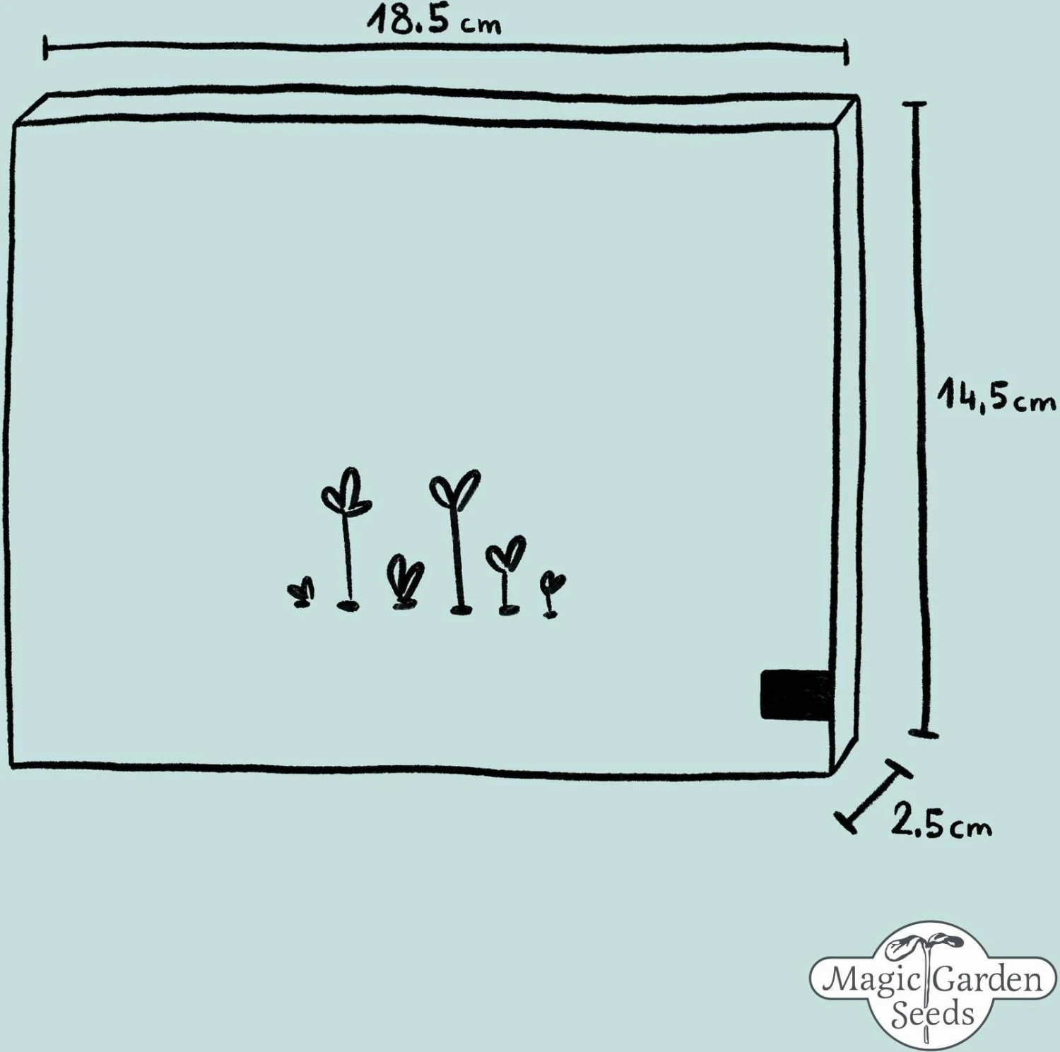 Verdure Per Frullati Verdi - Set Di Semi 9 Verdure Per Frullati Verdi - Set Di Semi - immagine 7