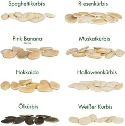 Semi Di Semi - 8 Zucche -Giardino Perfetto own grown semi di semi 8 zucche 1679562 it