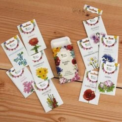 Set Di Semi - 10 Fiori Per Aiuola 16 Set Di Semi - 10 Fiori Per Aiuola -Giardino Perfetto own grown set di semi 10 fiori per aiuola 1679531 it