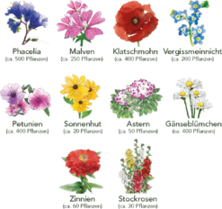 Set Di Semi - 10 Fiori Per Aiuola 15 Set Di Semi - 10 Fiori Per Aiuola -Giardino Perfetto own grown set di semi 10 fiori per aiuola 1679532 it