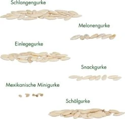 Set Di Semi - 6 Cetrioli 14 Set Di Semi - 6 Cetrioli -Giardino Perfetto own grown set di semi 6 cetrioli 1679569 it