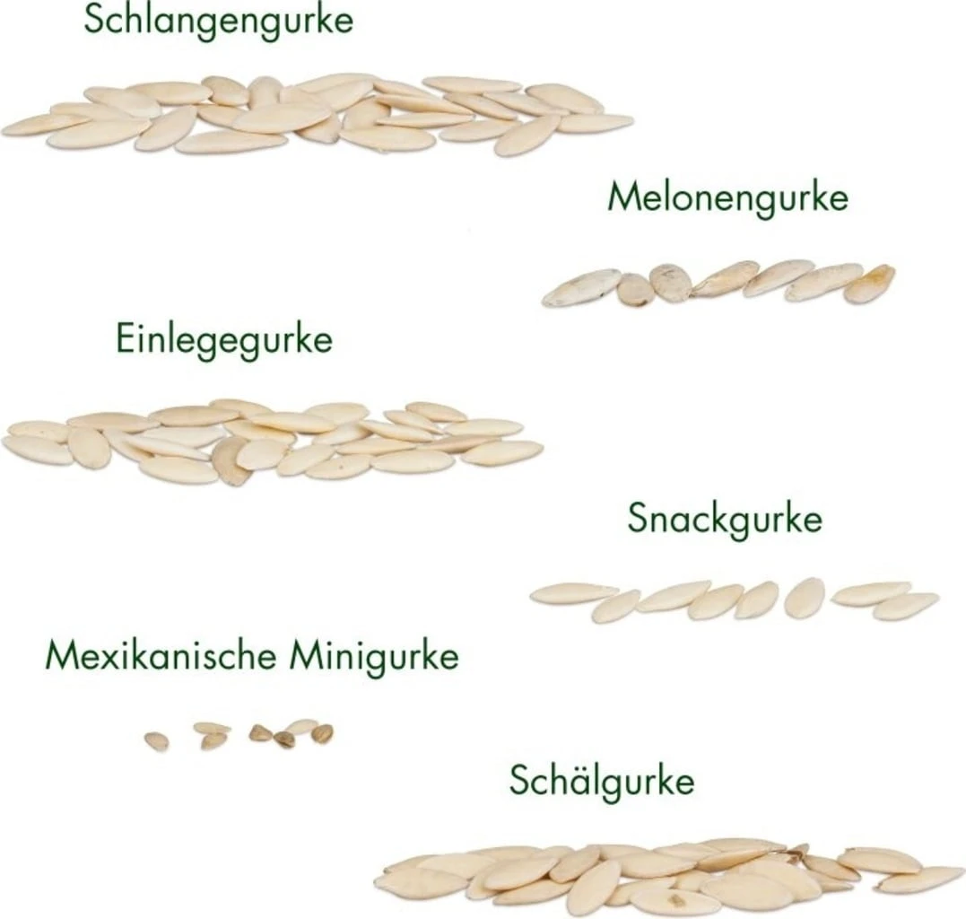 Set Di Semi - 6 Cetrioli 8 Set Di Semi - 6 Cetrioli - immagine 6